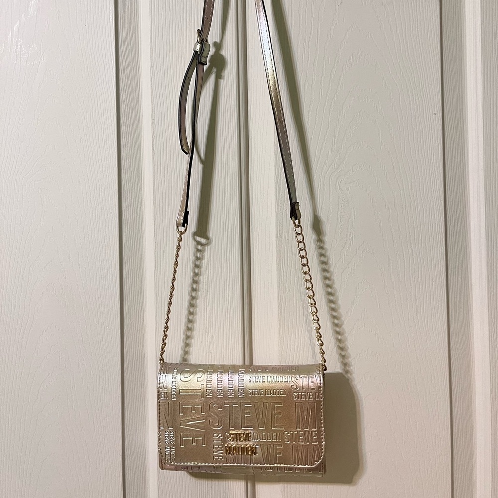 Steve Madden Metallic Crossbody Bag